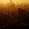 Silhouette Before Sunset