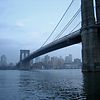 New York in November