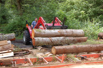 A load of Logs for the Mill
