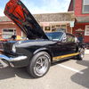 Mustang 350 GTH
