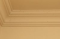 Termites in The Crown Molding