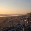 Beach Pic