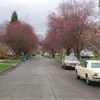 Street