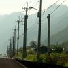 Electricity poles - Highway 11