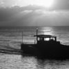 Fishing boat coming into Shan Hai Harbour