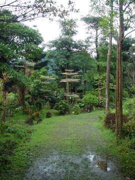 Taoyuan Garden Valley