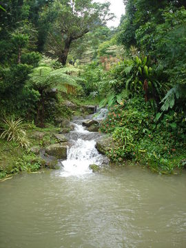 Taoyuan Garden Valley