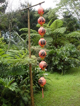 Taoyuan Garden Valley