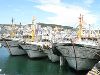 Click Here to view boats in Wai-an in Full Size