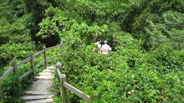 Qing Shui Yen2