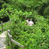 Qing Shui Yen2