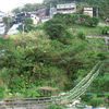 Jiu Fen