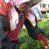 Tea Woman2