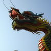 Dragon and Blue Sky