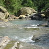 A Natural Swimming Pool