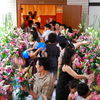 Graduation flower season