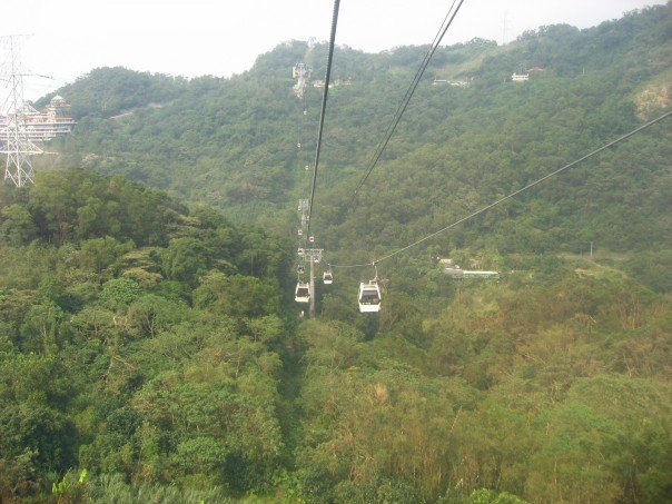 The cable cars
