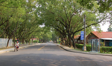 Jong Shin Village Tree Lined Street