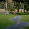 Winding Path