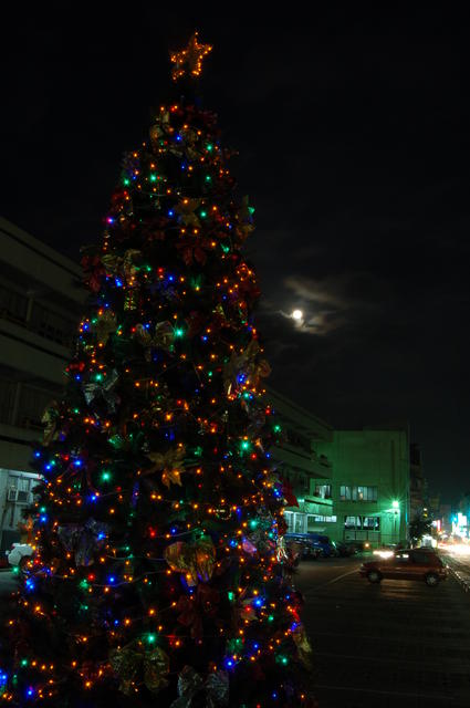 Christmas Tree Moon