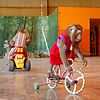 Monkey Rides Bicycle