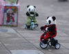 Panda Bicycle