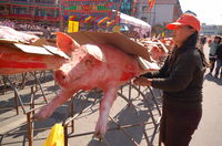 Covering the Pig