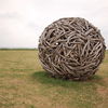 Driftwood ball