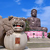 Lion and Budha