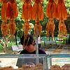 Dried Squid