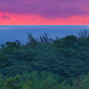 Sunset Header