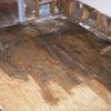 water damage restoration St. Petersburg