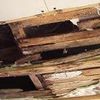 roof leak detection Hialeah