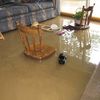 Water Removal Port Saint Lucie