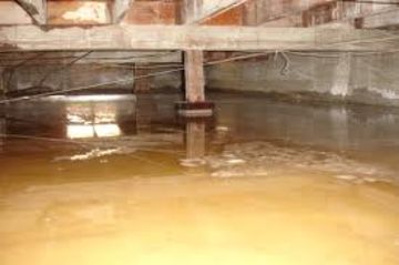 Flood Removal Tampa