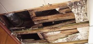 Roof Leak Detection Westpalmbeach