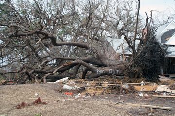 Hurricane Clean up Services