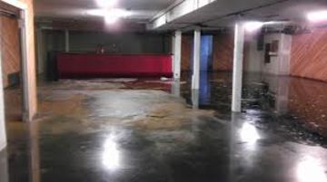 Water Removal Orlando