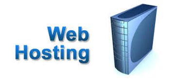 What is web hosting means