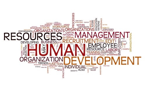 HUMAN RESOURCES CONSULTING SERVICES