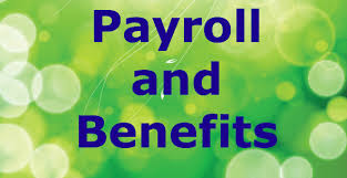 PAYROLL AND EMPLOYEE COMPENSATION SERVICES PROFESSIONALS
