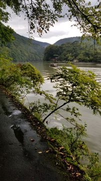 Katsura river in Arashiyama