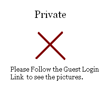 Use Guest Login Link for Access